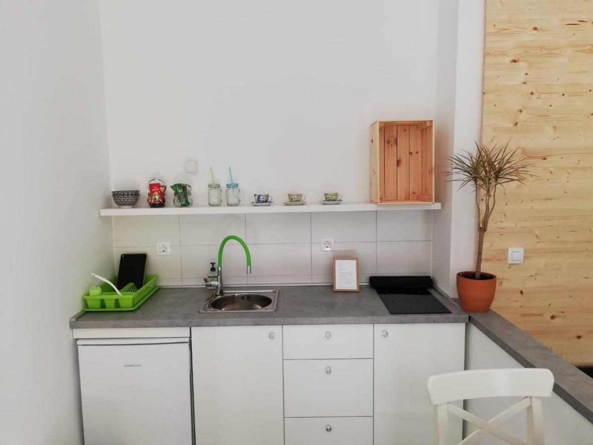 Appartement Studio Apartman Fleiss à Samobor Extérieur photo